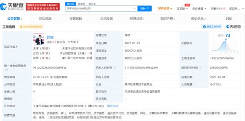 計算機軟件咨詢 助力企業數字化轉型與高效運營